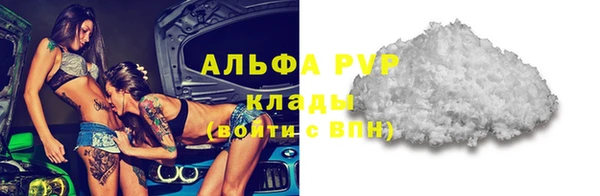 гашик Нефтекумск