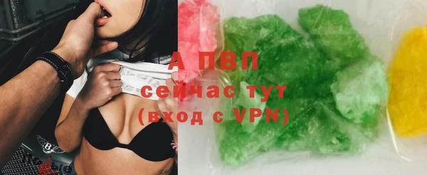 гашик Нефтекумск