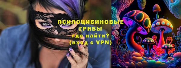 дживик Наволоки