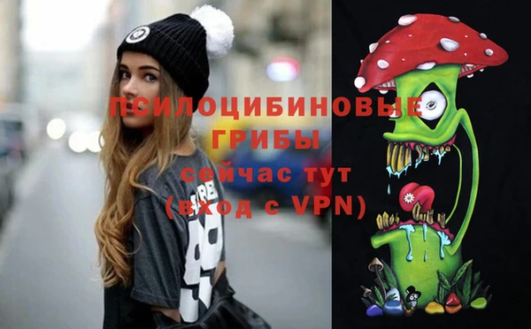 гашик Нефтекумск
