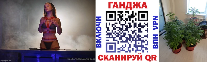 Бошки Шишки гибрид Пошехонье